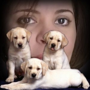 Meet your Posher, Angela